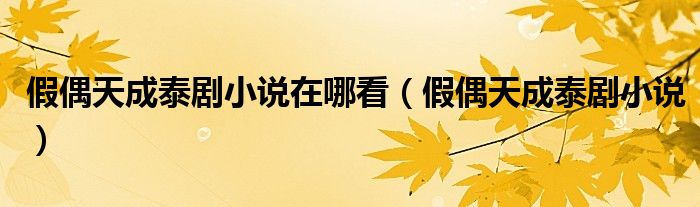 假偶天成泰剧小说在哪看(假偶天成泰剧小说)