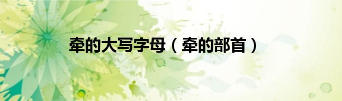 牵的大写字母（牵的部首）
