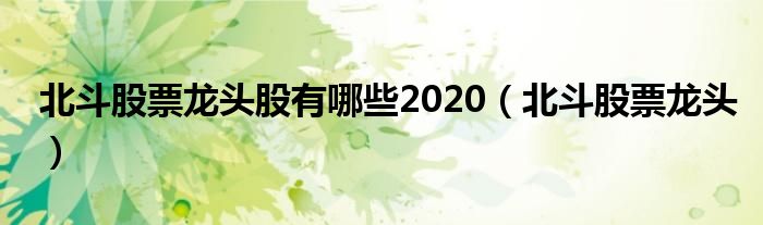 北斗股票龙头股有哪些2020(北斗股票龙头)