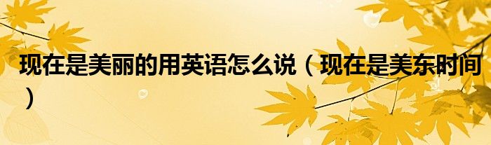 现在是美丽的用英语怎么说(现在是美东时间)