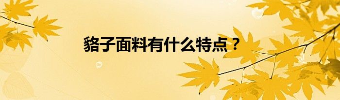 貉子面料有什么特点？