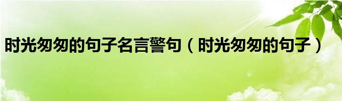 时光匆匆的句子名言警句(时光匆匆的句子)