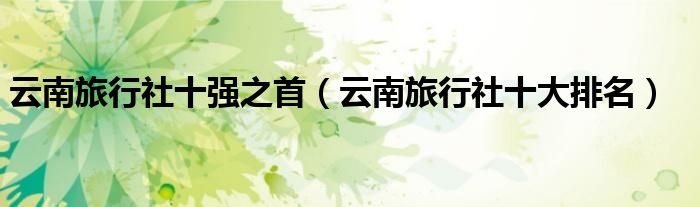 云南旅行社十强之首(云南旅行社十大排名)