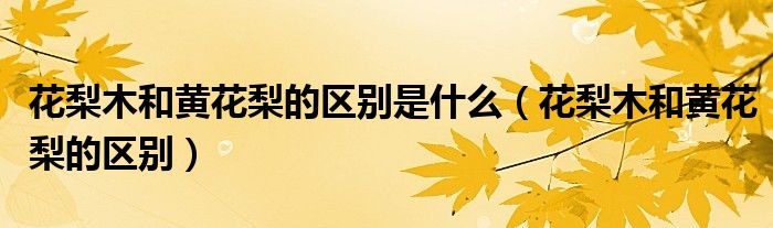 花梨木和黄花梨的区别是什么（花梨木和黄花梨的区别）