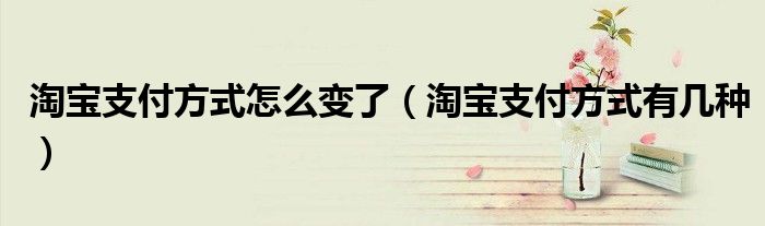 淘宝支付方式怎么变了(淘宝支付方式有几种)