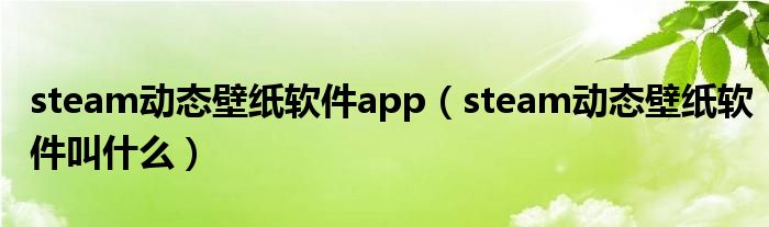 steam动态壁纸软件app(steam动态壁纸软件叫什么)