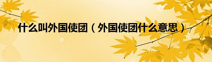 什么叫外国使团(外国使团什么意思)
