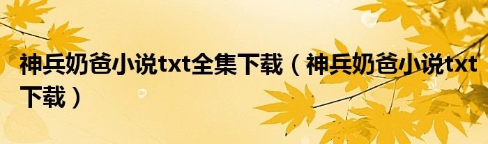 神兵奶爸小说txt全集下载(神兵奶爸小说txt下载)