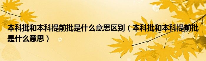 本科批和本科提前批是什么意思区别(本科批和本科提前批是什么意思)