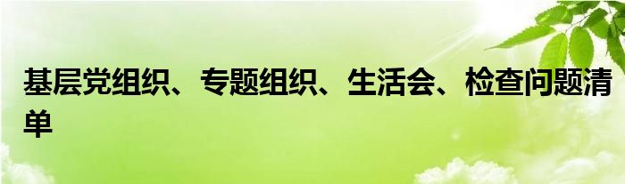 基层党组织、专题组织、生活会、检查问题清单