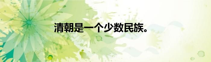 清朝是一个少数民族。