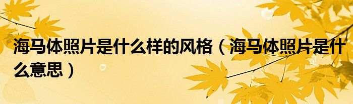海马体照片是什么样的风格(海马体照片是什么意思)
