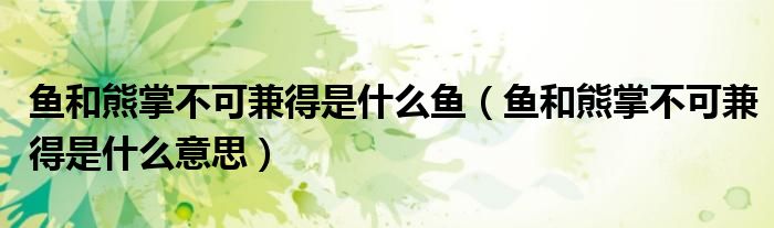 鱼和熊掌不可兼得是什么鱼（鱼和熊掌不可兼得是什么意思）