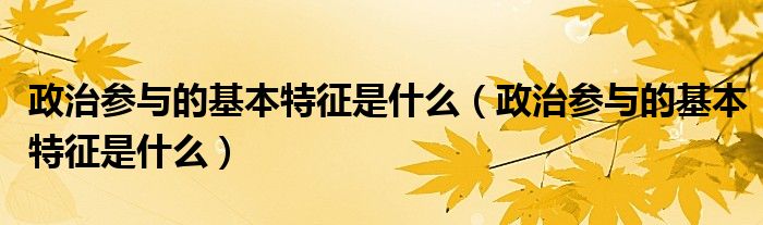 政治参与的基本特征是什么(政治参与的基本特征是什么)