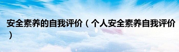 安全素养的自我评价(个人安全素养自我评价)