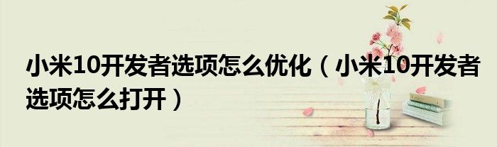 小米10开发者选项怎么优化(小米10开发者选项怎么打开)