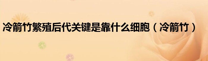 冷箭竹繁殖后代关键是靠什么细胞(冷箭竹)