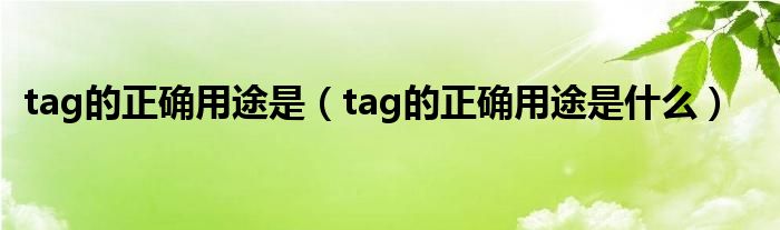 tag的正确用途是(tag的正确用途是什么)