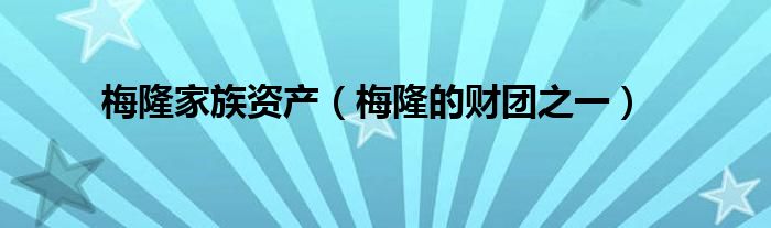梅隆家族资产(梅隆的财团之一)
