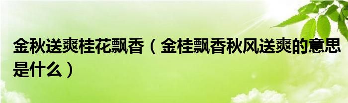 金秋送爽桂花飘香(金桂飘香秋风送爽的意思是什么)