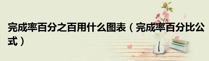 完成率百分之百用什么图表(完成率百分比公式)