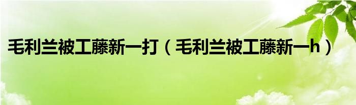 毛利兰被工藤新一打(毛利兰被工藤新一h)