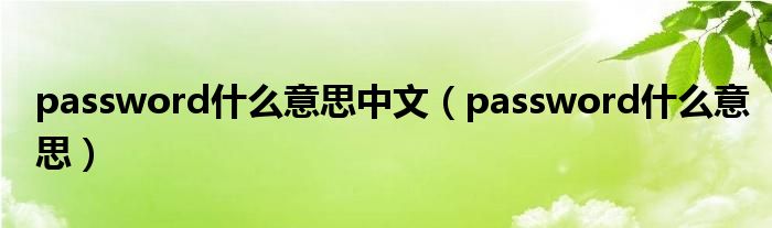 password什么意思中文(password什么意思)