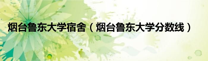 烟台鲁东大学宿舍(烟台鲁东大学分数线)