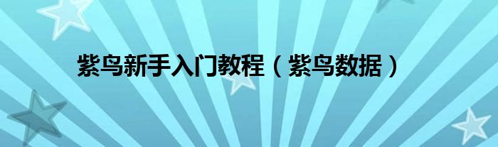 紫鸟新手入门教程(紫鸟数据)