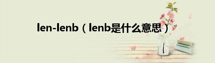 len-lenb(lenb是什么意思)