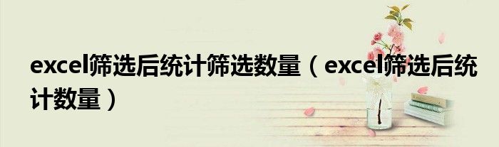 excel筛选后统计筛选数量(excel筛选后统计数量)