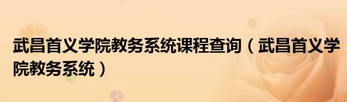 武昌首义学院教务系统课程查询(武昌首义学院教务系统)