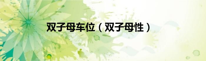 双子母车位（双子母性）