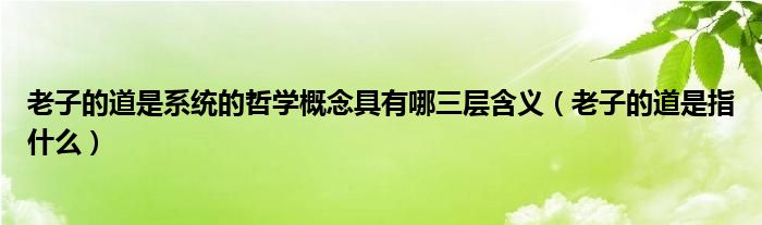 老子的道是系统的哲学概念具有哪三层含义(老子的道是指什么)