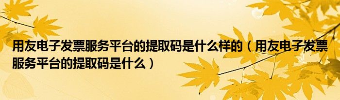 用友电子发票服务平台的提取码是什么样的(用友电子发票服务平台的提取码是什么)