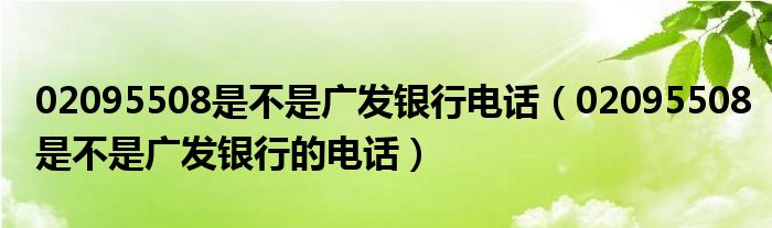 02095508是不是广发银行电话(02095508是不是广发银行的电话)