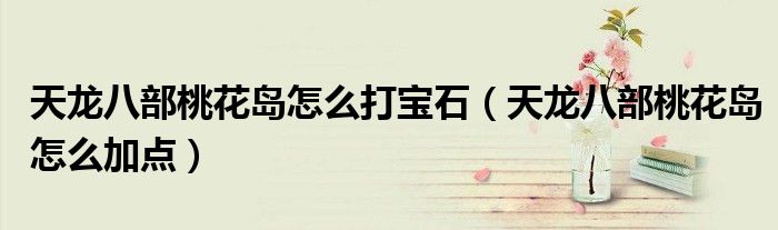 天龙八部桃花岛怎么打宝石(天龙八部桃花岛怎么加点)