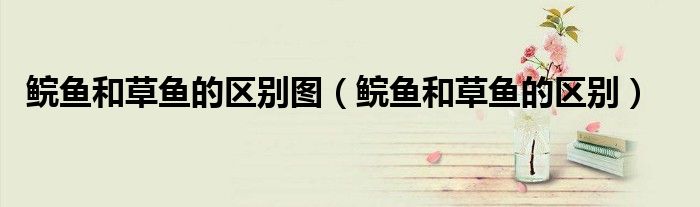 鲩鱼和草鱼的区别图(鲩鱼和草鱼的区别)