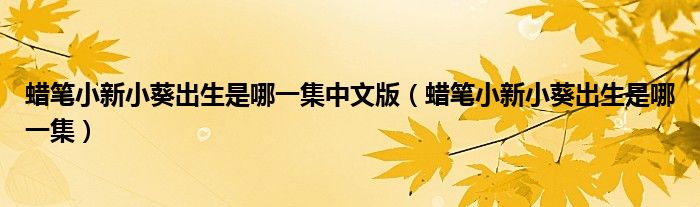 蜡笔小新小葵出生是哪一集中文版(蜡笔小新小葵出生是哪一集)
