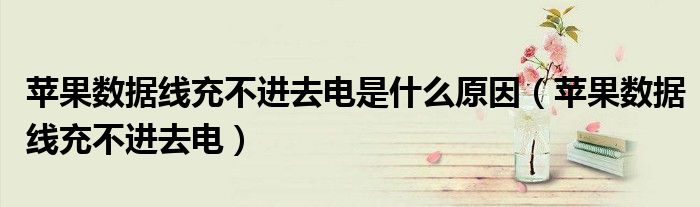 苹果数据线充不进去电是什么原因(苹果数据线充不进去电)