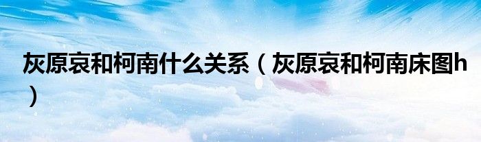 灰原哀和柯南什么关系(灰原哀和柯南床图h)
