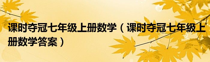 课时夺冠七年级上册数学(课时夺冠七年级上册数学答案)