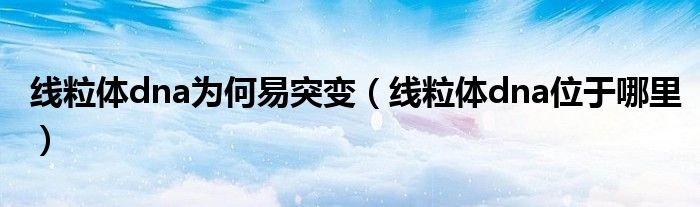 线粒体dna为何易突变(线粒体dna位于哪里)