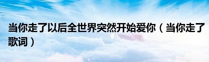 当你走了以后全世界突然开始爱你(当你走了歌词)