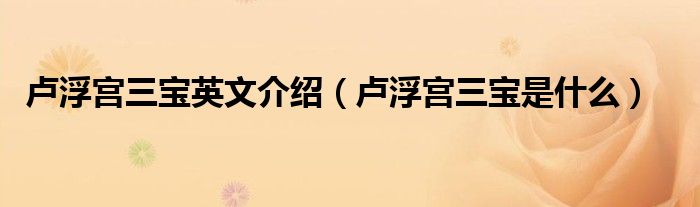 卢浮宫三宝英文介绍(卢浮宫三宝是什么)
