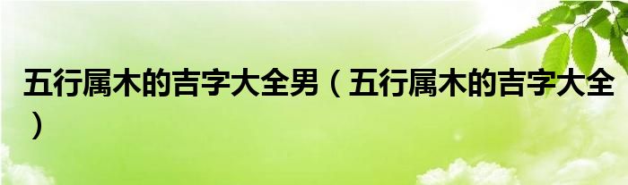 五行属木的吉字大全男(五行属木的吉字大全)