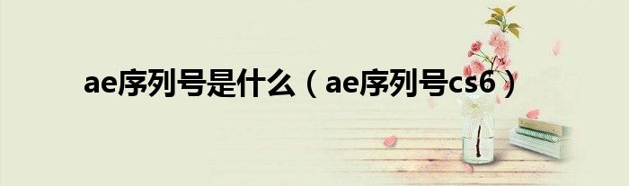 ae序列号是什么(ae序列号cs6)