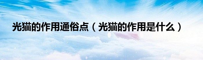 光猫的作用通俗点(光猫的作用是什么)
