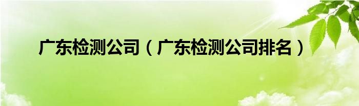 广东检测公司(广东检测公司排名)