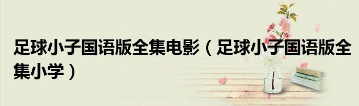 足球小子国语版全集电影(足球小子国语版全集小学)